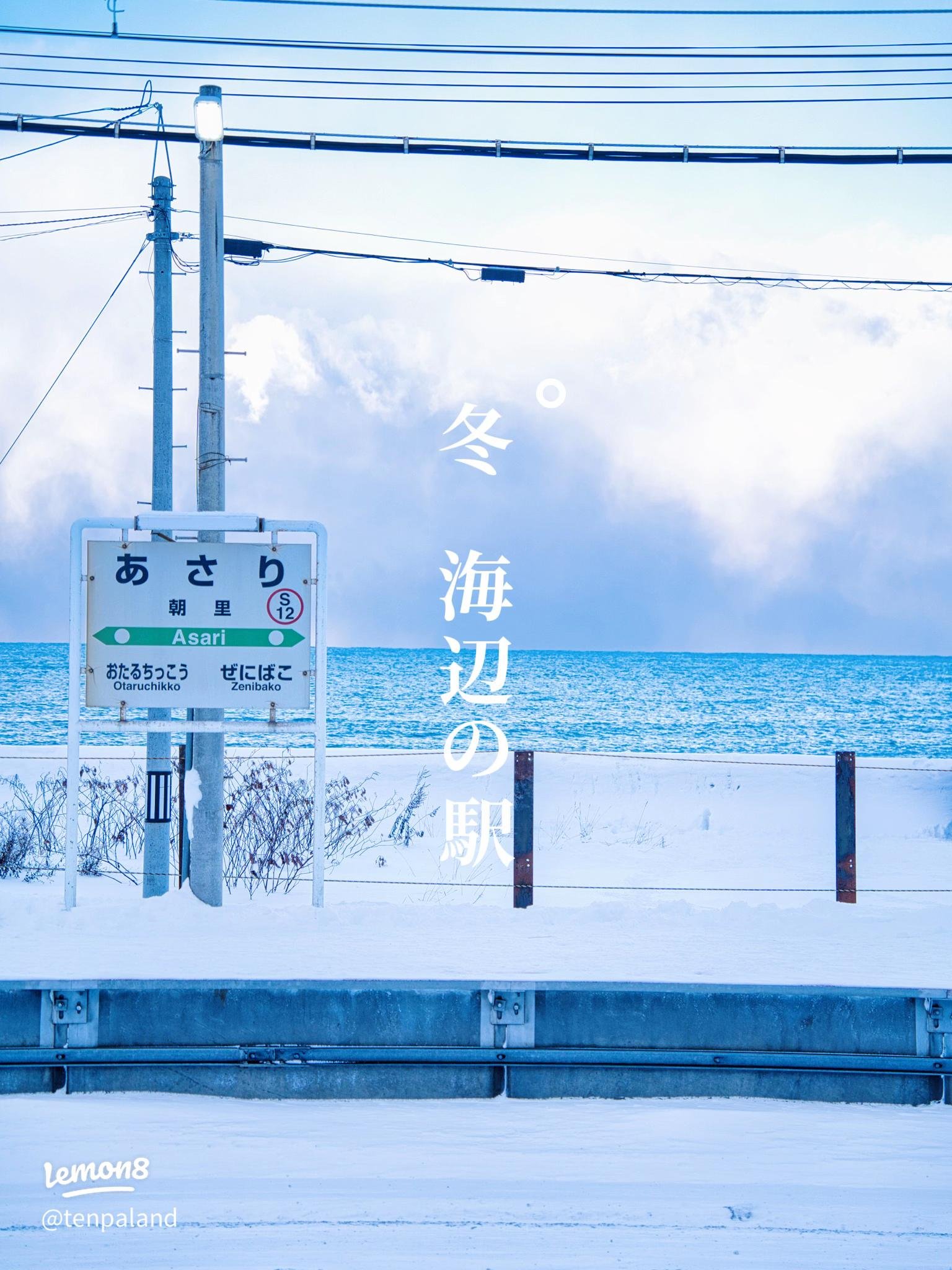 🌸 아바시리 국정공원 고시미즈 원생화원 (아바시리 코쿠테이코엔 코시미즈 겐세이카엔) 이미지 7